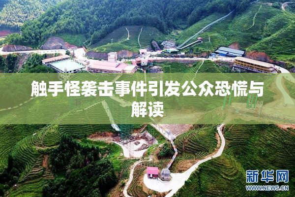 触手怪袭击事件引发公众恐慌与解读