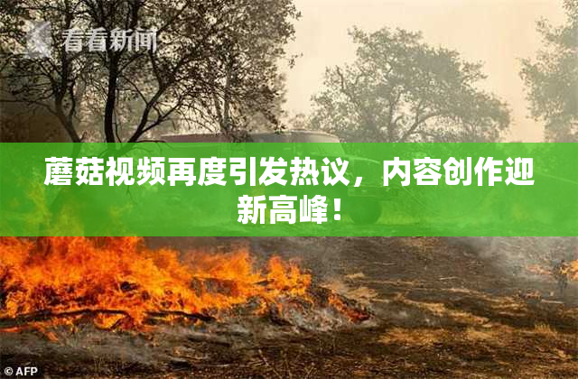 蘑菇视频再度引发热议，内容创作迎新高峰！
