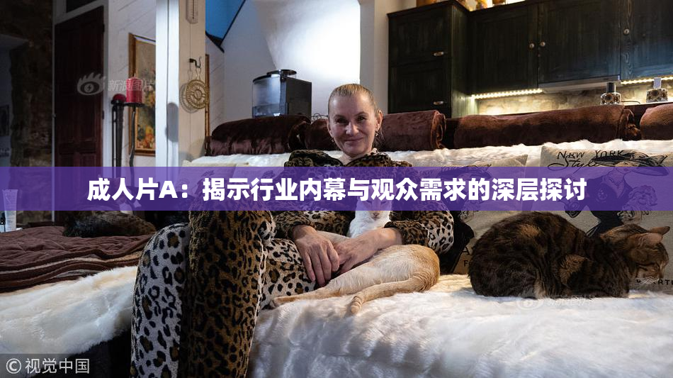 成人片A：揭示行业内幕与观众需求的深层探讨