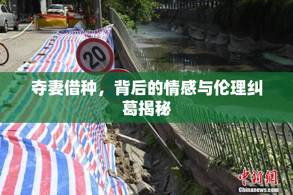 夺妻借种，背后的情感与伦理纠葛揭秘