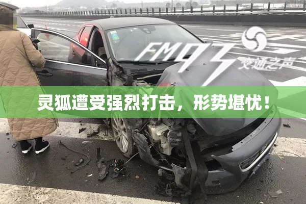 灵狐遭受强烈打击，形势堪忧！