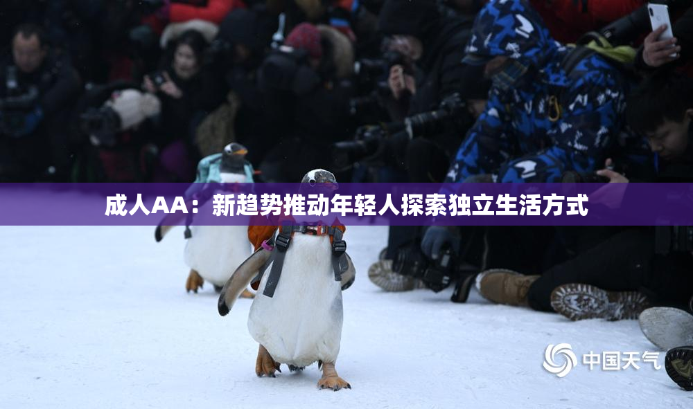 成人AA：新趋势推动年轻人探索独立生活方式