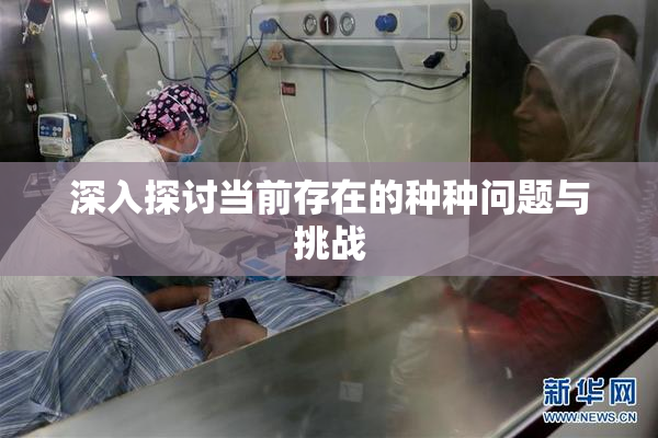 深入探讨当前存在的种种问题与挑战