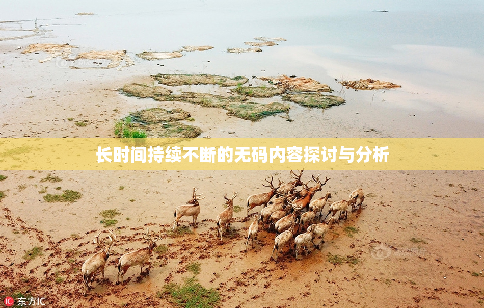长时间持续不断的无码内容探讨与分析