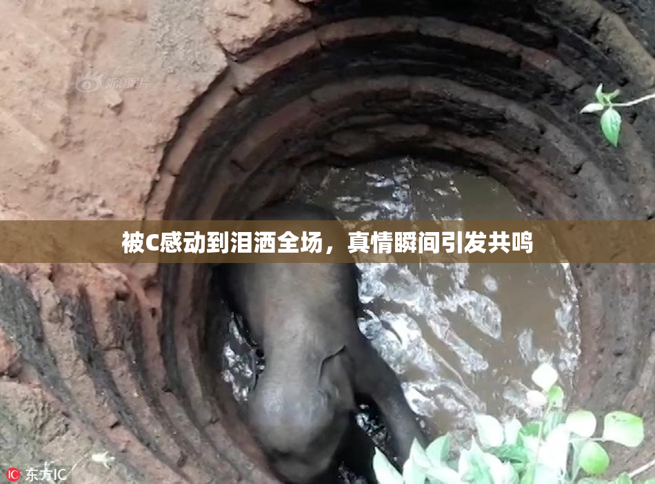 被C感动到泪洒全场，真情瞬间引发共鸣