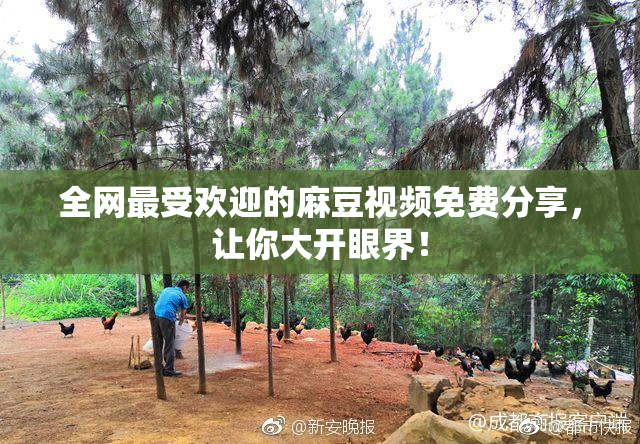 全网最受欢迎的麻豆视频免费分享，让你大开眼界！