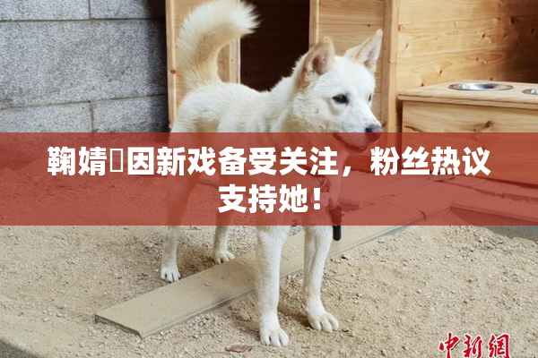 鞠婧祎因新戏备受关注，粉丝热议支持她！