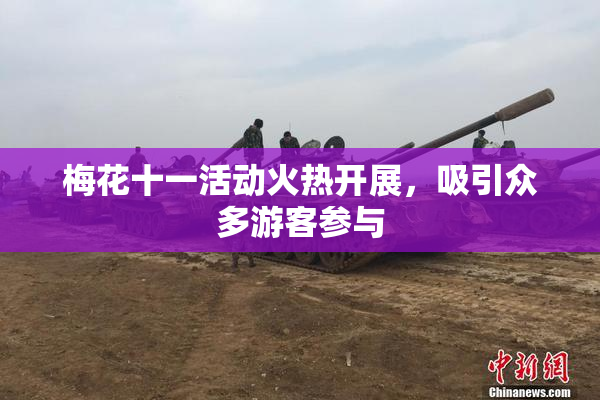 梅花十一活动火热开展，吸引众多游客参与