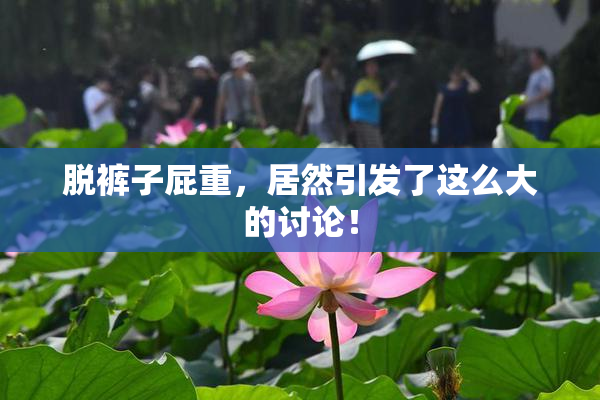 脱裤子屁重，居然引发了这么大的讨论！