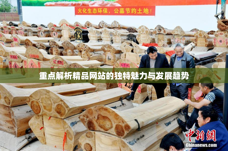 重点解析精品网站的独特魅力与发展趋势