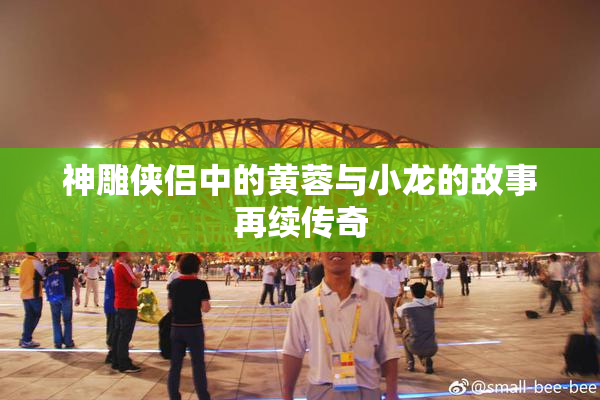 神雕侠侣中的黄蓉与小龙的故事再续传奇