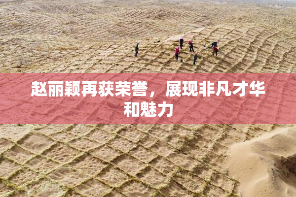 赵丽颖再获荣誉，展现非凡才华和魅力