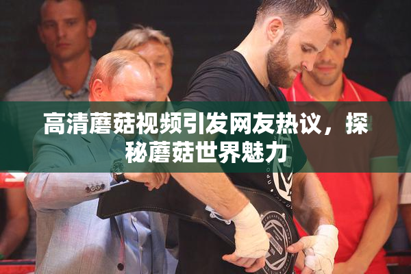 高清蘑菇视频引发网友热议，探秘蘑菇世界魅力