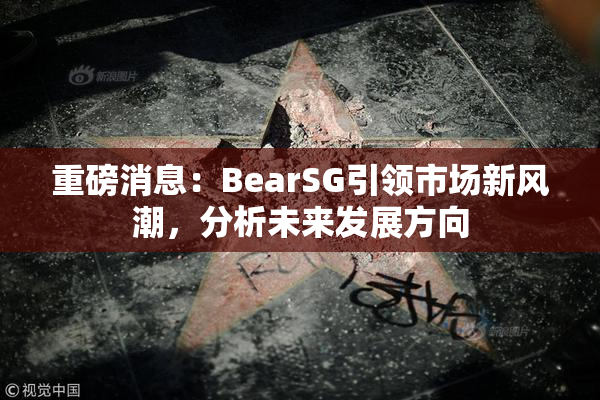 重磅消息：BearSG引领市场新风潮，分析未来发展方向