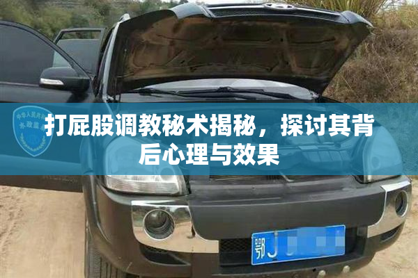 打屁股调教秘术揭秘，探讨其背后心理与效果