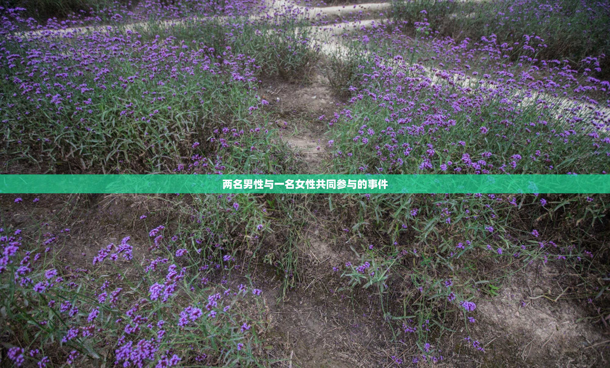 两名男性与一名女性共同参与的事件