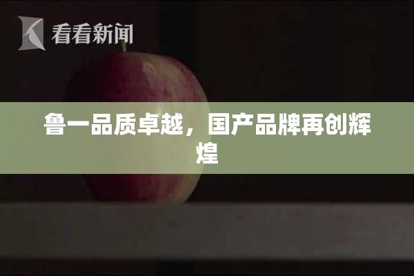 鲁一品质卓越，国产品牌再创辉煌