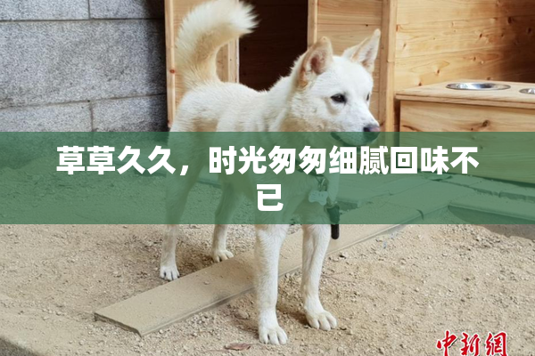 草草久久，时光匆匆细腻回味不已