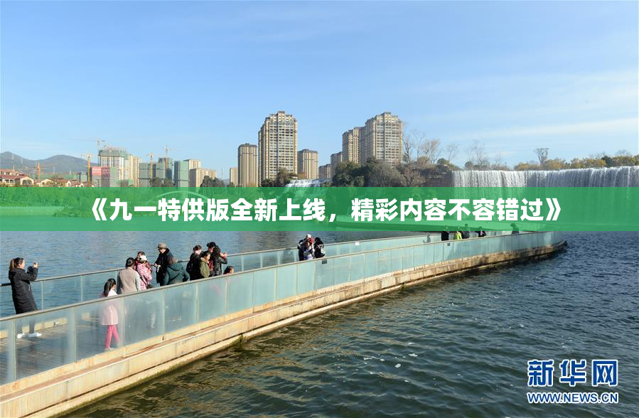 《九一特供版全新上线，精彩内容不容错过》