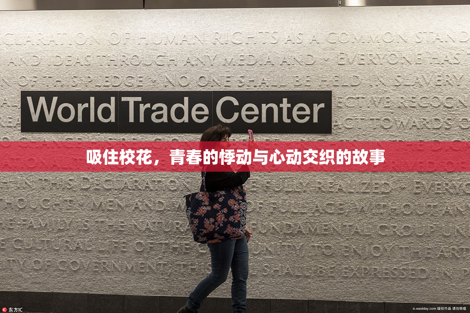 吸住校花，青春的悸动与心动交织的故事