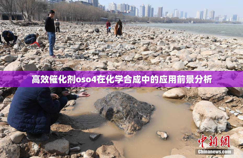 高效催化剂oso4在化学合成中的应用前景分析