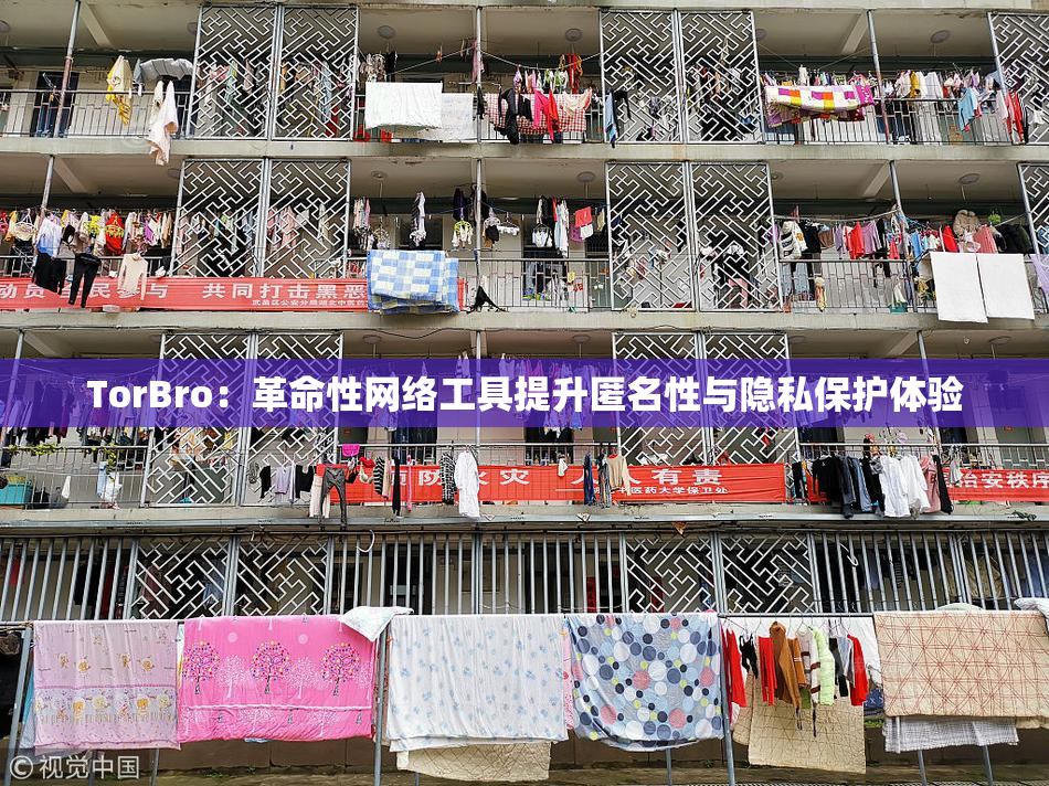 TorBro：革命性网络工具提升匿名性与隐私保护体验