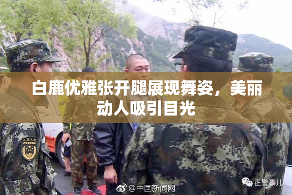 白鹿优雅张开腿展现舞姿，美丽动人吸引目光