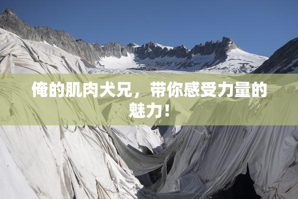 俺的肌肉犬兄，带你感受力量的魅力！