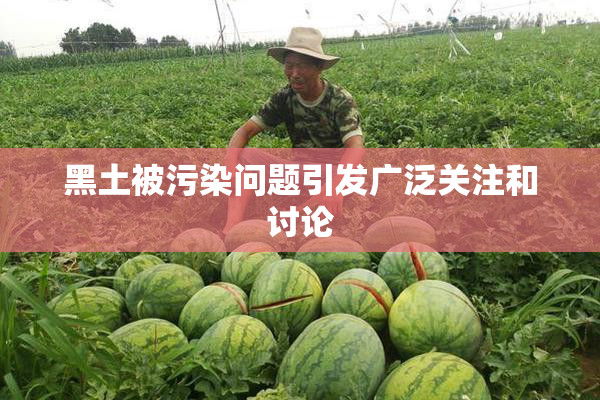 黑土被污染问题引发广泛关注和讨论