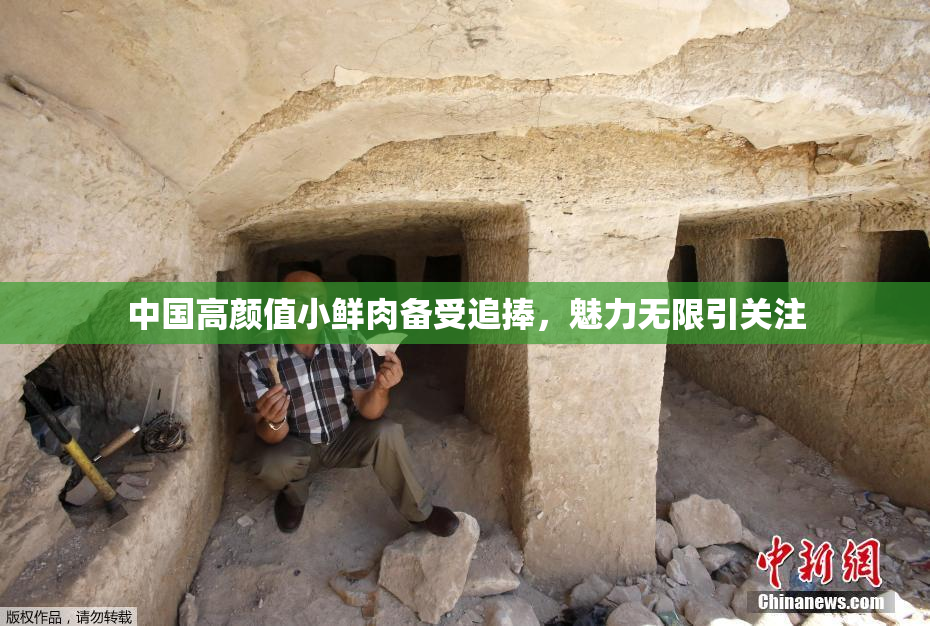 中国高颜值小鲜肉备受追捧，魅力无限引关注