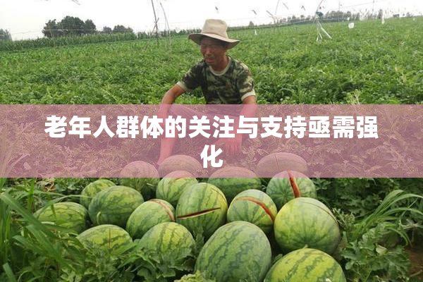 老年人群体的关注与支持亟需强化