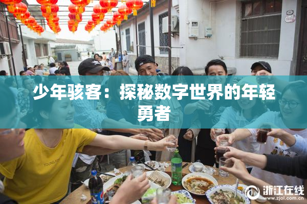 少年骇客：探秘数字世界的年轻勇者