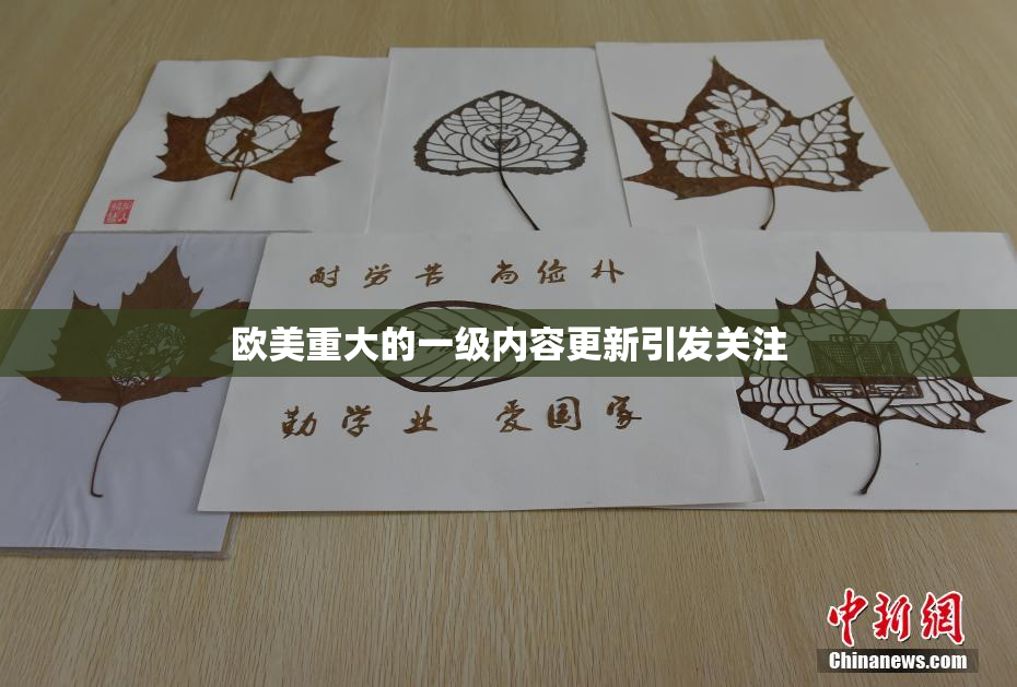欧美重大的一级内容更新引发关注