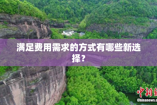 满足费用需求的方式有哪些新选择？