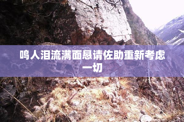 鸣人泪流满面恳请佐助重新考虑一切