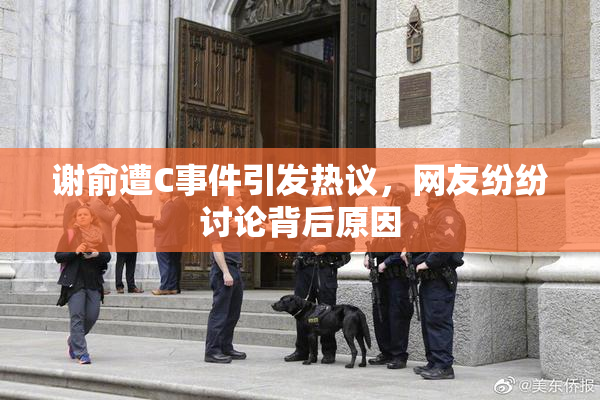 谢俞遭C事件引发热议，网友纷纷讨论背后原因