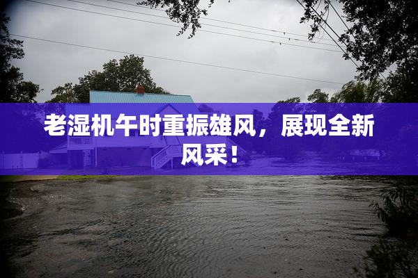 老湿机午时重振雄风，展现全新风采！