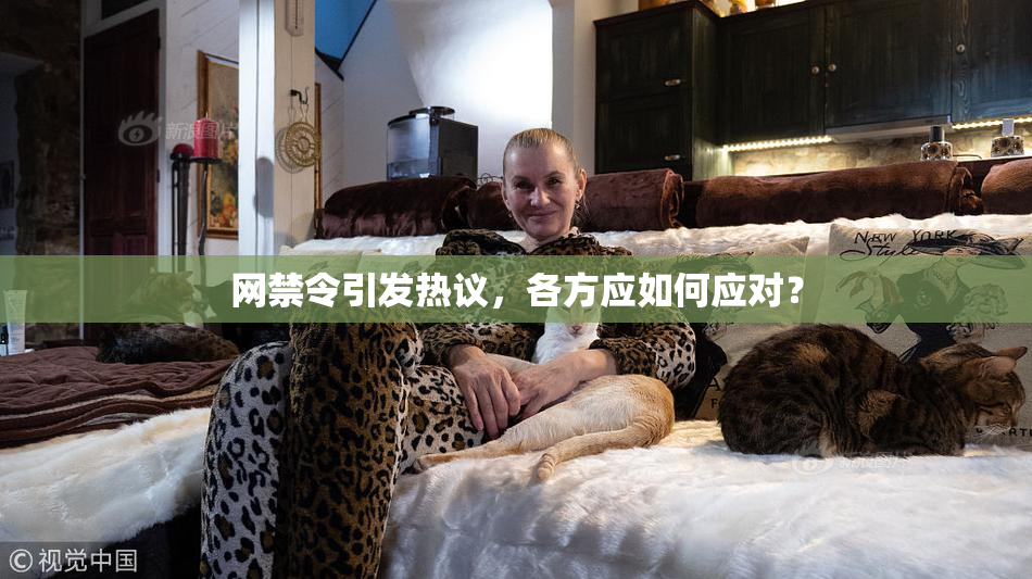 网禁令引发热议，各方应如何应对？