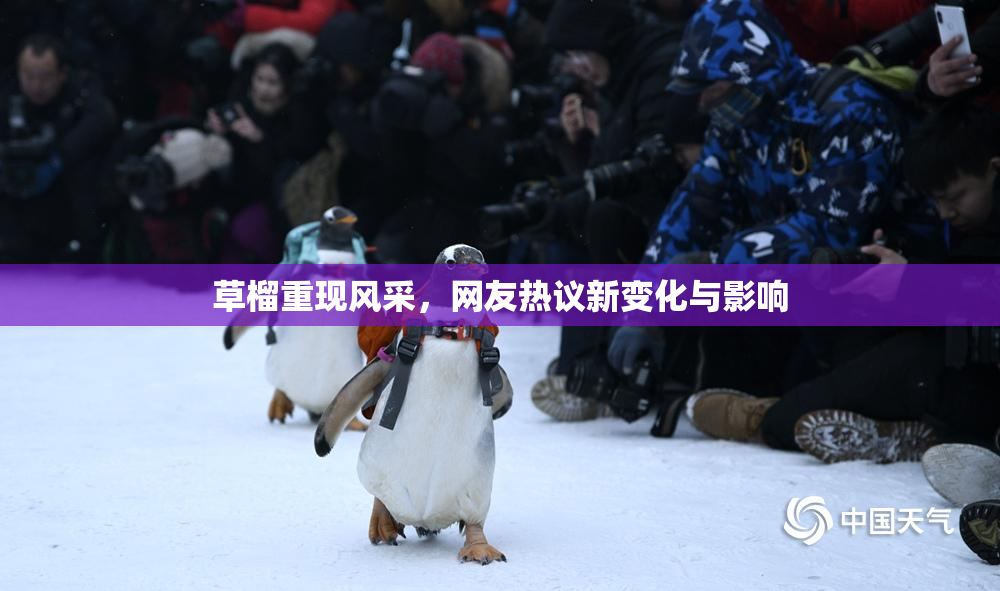 草榴重现风采，网友热议新变化与影响