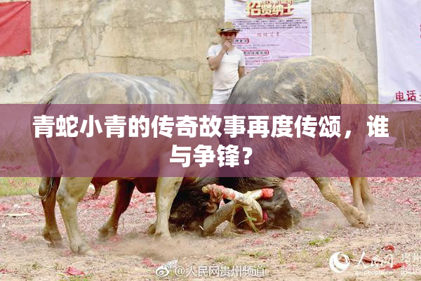 青蛇小青的传奇故事再度传颂，谁与争锋？