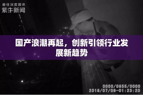 国产浪潮再起，创新引领行业发展新趋势