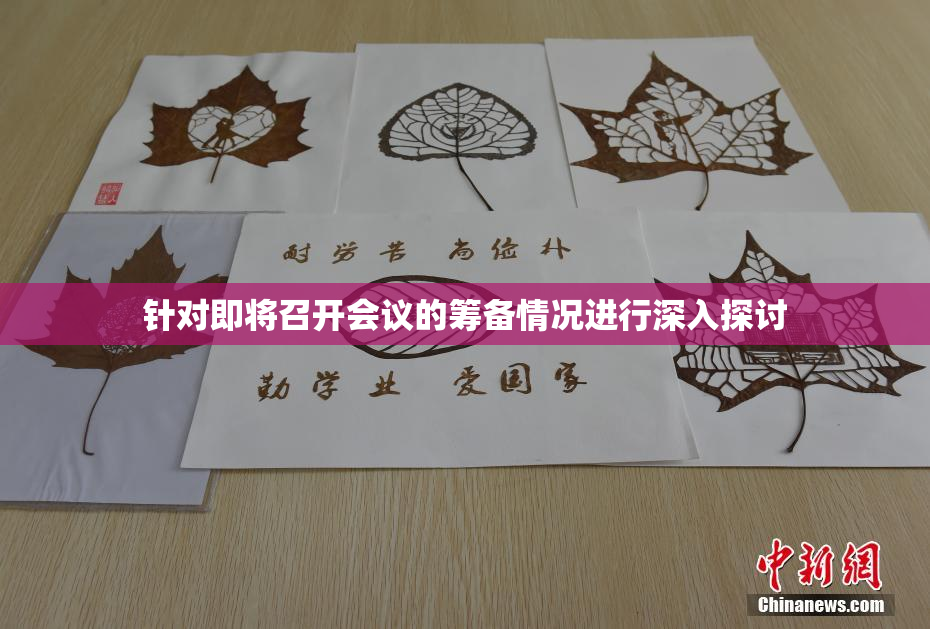 针对即将召开会议的筹备情况进行深入探讨