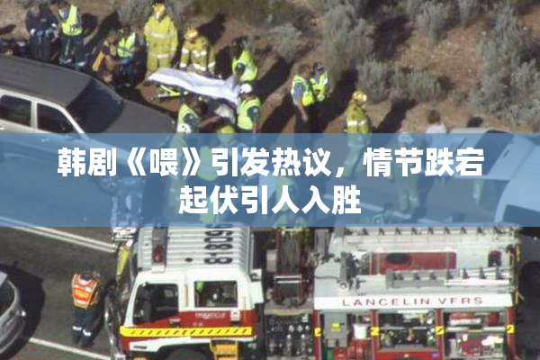 韩剧《喂》引发热议，情节跌宕起伏引人入胜