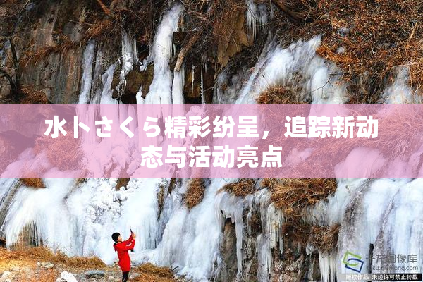 水卜さくら精彩纷呈，追踪新动态与活动亮点