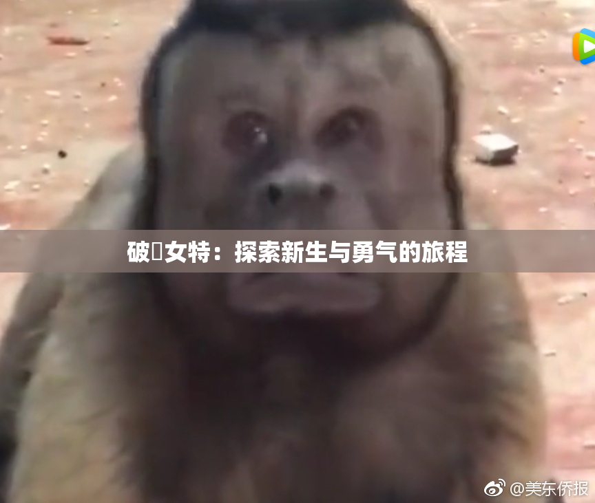 破處女特：探索新生与勇气的旅程