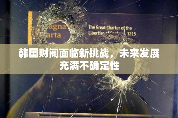 韩国财阀面临新挑战，未来发展充满不确定性