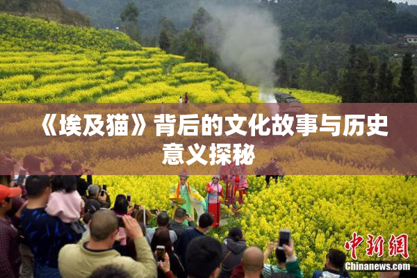 《埃及猫》背后的文化故事与历史意义探秘