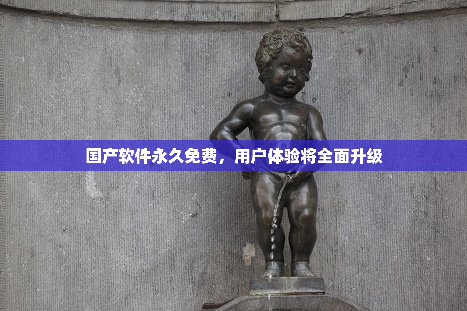 国产软件永久免费，用户体验将全面升级