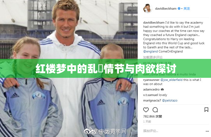 红楼梦中的乱婬情节与肉欲探讨