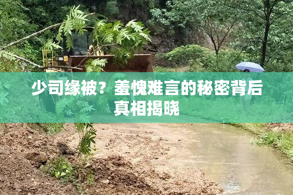 少司缘被？羞愧难言的秘密背后真相揭晓